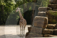 Inside The Wilhelma Zoo In Stuttgart, Germany