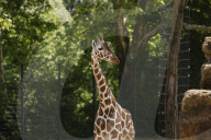 Inside The Wilhelma Zoo In Stuttgart, Germany