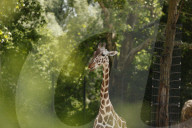 Inside The Wilhelma Zoo In Stuttgart, Germany