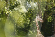 Inside The Wilhelma Zoo In Stuttgart, Germany
