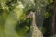 Inside The Wilhelma Zoo In Stuttgart, Germany