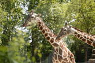 Inside The Wilhelma Zoo In Stuttgart, Germany