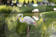 Inside The Wilhelma Zoo In Stuttgart, Germany