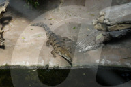 Inside The Wilhelma Zoo In Stuttgart, Germany