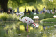Inside The Wilhelma Zoo In Stuttgart, Germany