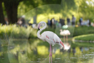 Inside The Wilhelma Zoo In Stuttgart, Germany