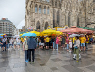Rainy Weather In Vienna