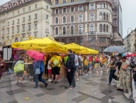 Rainy Weather In Vienna