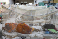 Dengue Cases Rising In Bangladesh