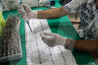 Dengue Cases Rising In Bangladesh
