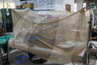 Dengue Cases Rising In Bangladesh