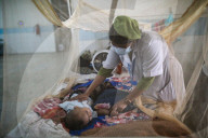 Dengue Cases Rising In Bangladesh