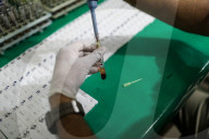 Dengue Cases Rising In Bangladesh