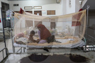 Dengue Cases Rising In Bangladesh