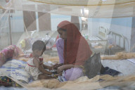 Dengue Cases Rising In Bangladesh