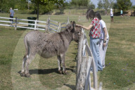 Daily Life In Serbia