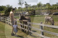 Daily Life In Serbia