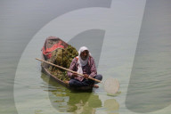 Daily Life In Kashmir, India