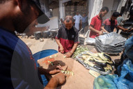 Hamas Israel Conflict