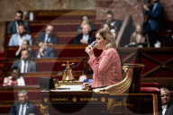 Questions To The French Government At The National Assembly