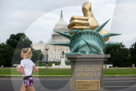 Anti-Trump statue appears on the National Mall