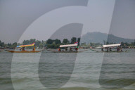 Boat Rally At Dal Lake Organized To Revive Tourism In Kashmir