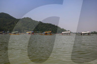 Boat Rally At Dal Lake Organized To Revive Tourism In Kashmir