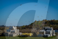 Waste Processing In Firmat, Argentina