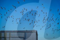 Waste Processing In Firmat, Argentina