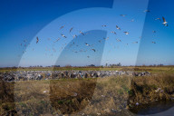 Waste Processing In Firmat, Argentina