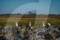 Waste Processing In Firmat, Argentina