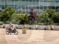 Two Men On Cargo Bike Enjoying Leisure Time In Vienna