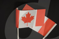 Canadian Citizenship Ceremony
