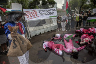 Solidarity Rally For Palestinian