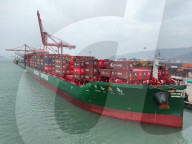 Lianyungang Port Container Trade Growth