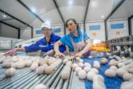 Laying Hens Intelligent Ecological Breeding