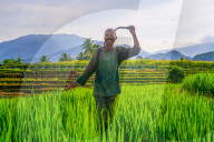 The paddy field workers in the dramatic scenery in Indonesia by Rahmad Himawan