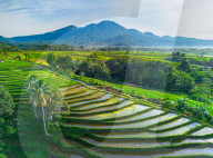 The paddy field workers in the dramatic scenery in Indonesia by Rahmad Himawan