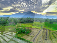 The paddy field workers in the dramatic scenery in Indonesia by Rahmad Himawan