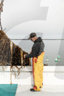 Something in the water: how kelp is helping Maine's mussels boom.