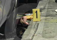38-year-old Man Fatally Shot Multiple Times Throughout The Body In Front Of 541 Marcy Avenue