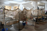 Dengue Patients In Dhaka, Bangladesh