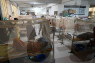 Dengue Patients In Dhaka, Bangladesh