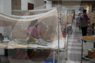 Dengue Patients In Dhaka, Bangladesh