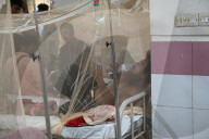 Dengue Patients In Dhaka, Bangladesh