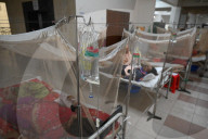 Dengue Patients In Dhaka, Bangladesh