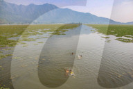 Heatwave Continues In Kashmir