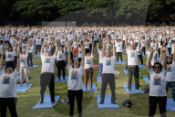 International Day Of Yoga In Bangkok.