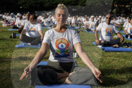 International Day Of Yoga In Bangkok.