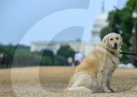 Daily Life In Washington D.C.